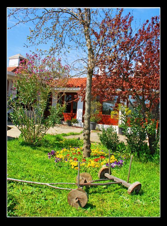 Villafe Çatalca Exteriér fotografie